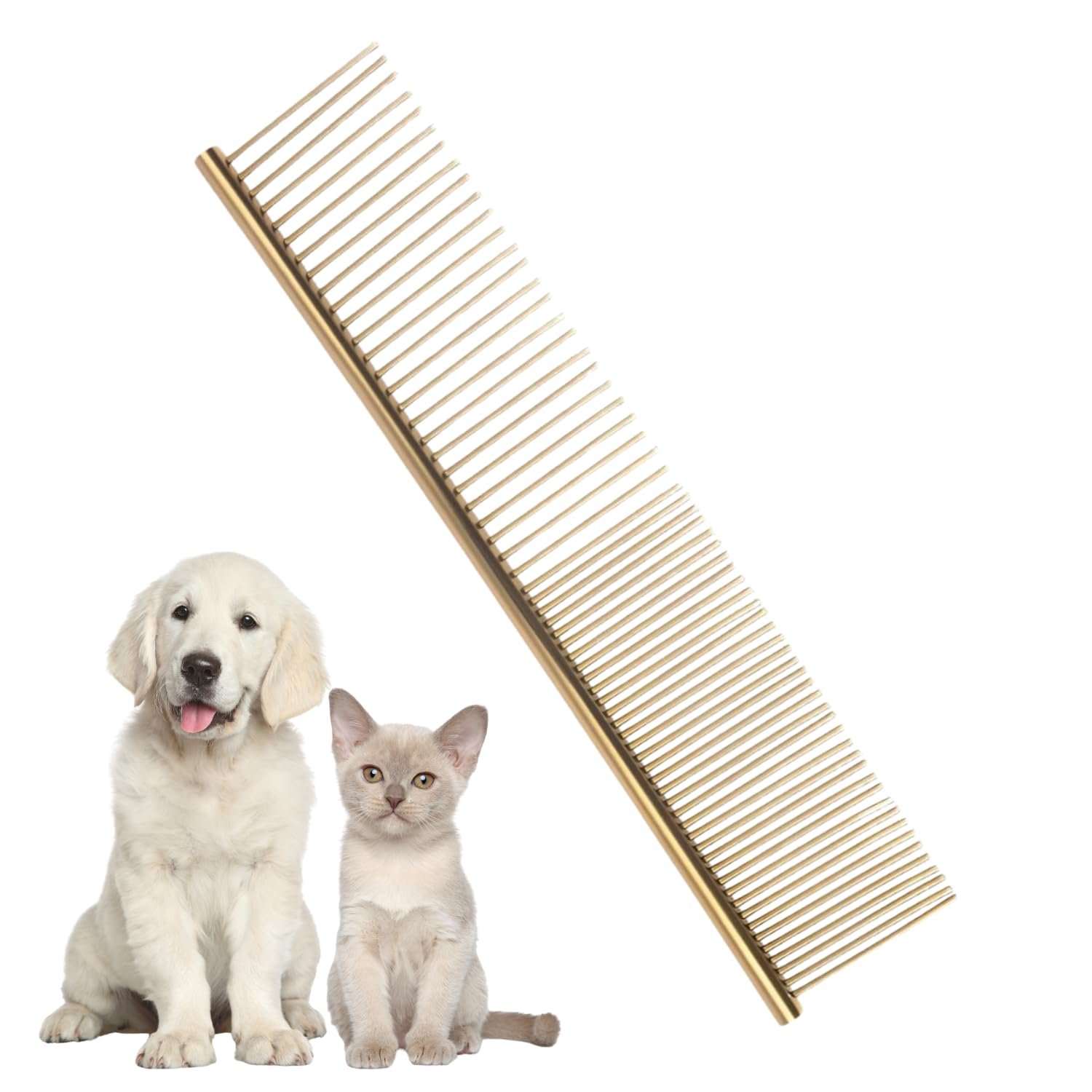 Kitchen Scissors Back